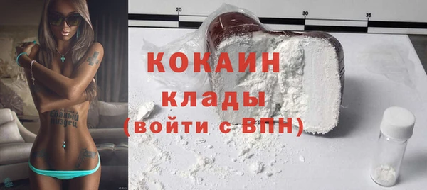 дмт Новокубанск