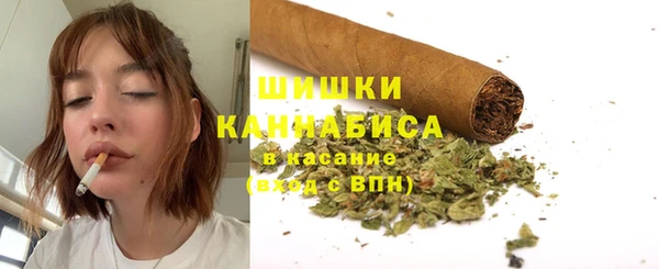 каннабис Дубовка