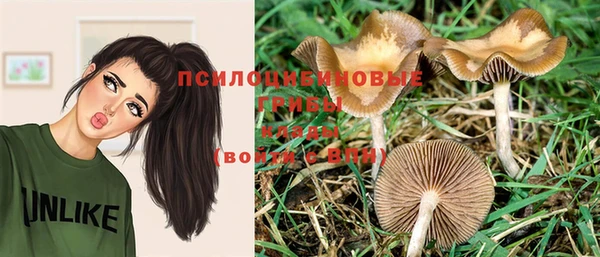 кокс Дубна