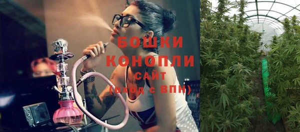 каннабис Дубовка