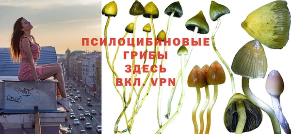 дмт Новокубанск