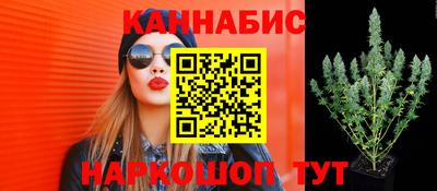 метадон Гатчина