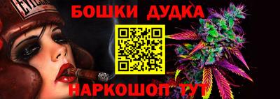шишки Гагарин