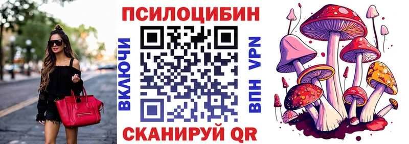 купить   Кимовск  Галлюциногенные грибы Cubensis 