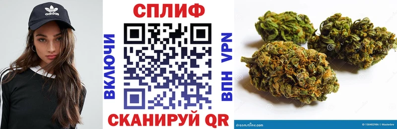 Каннабис Amnesia Кимовск